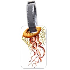 Animal Art Forms In Nature Jellyfish Luggage Tag (one side)