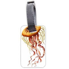 Animal Art Forms In Nature Jellyfish Luggage Tag (two sides)