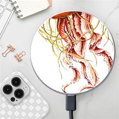 Animal Art Forms In Nature Jellyfish Wireless Charger