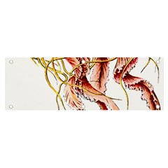 Animal Art Forms In Nature Jellyfish Banner And Sign 6  X 2  by Sapixe