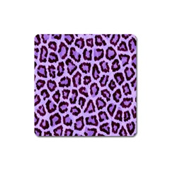 Paper-purple-tiger Square Magnet by nateshop