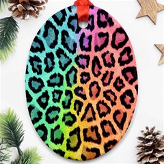 Paper-ranbow-tiger Oval Ornament (two Sides)