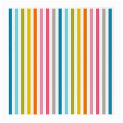 Stripes Medium Glasses Cloth (2 Sides)