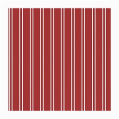 Stripes-red Medium Glasses Cloth (2 Sides)