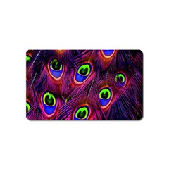 Peacock-feathers Magnet (name Card) by nateshop