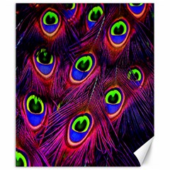 Peacock-feathers Canvas 20  X 24  by nateshop