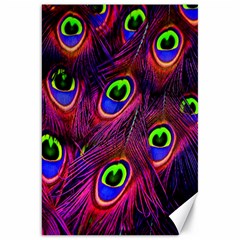 Peacock-feathers Canvas 20  X 30  by nateshop