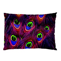 Peacock-feathers Pillow Case (two Sides)