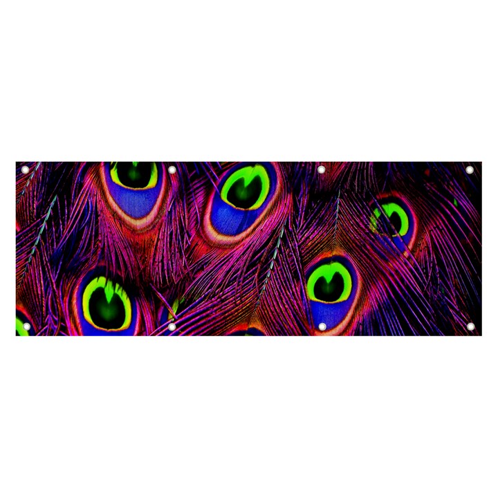 Peacock-feathers Banner and Sign 8  x 3 