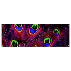 Peacock-feathers Banner And Sign 12  X 4 