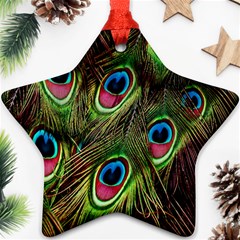 Peacock-army Ornament (star) by nateshop