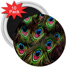 Peacock-army 3  Magnets (10 Pack)  by nateshop