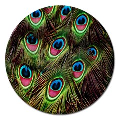 Peacock-army Magnet 5  (round) by nateshop