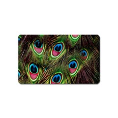 Peacock-army Magnet (name Card) by nateshop