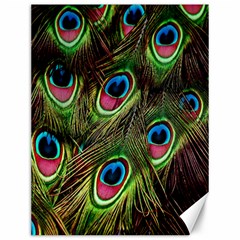 Peacock-army Canvas 12  X 16  by nateshop