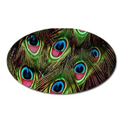 Peacock-army Oval Magnet by nateshop