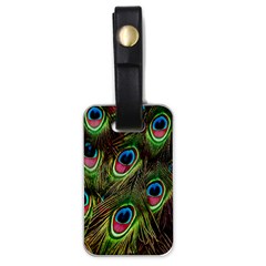 Peacock-army Luggage Tag (one Side) by nateshop