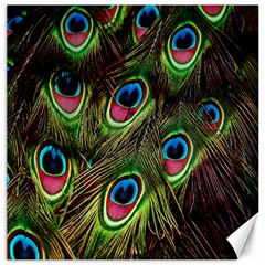 Peacock-army Canvas 16  X 16  by nateshop