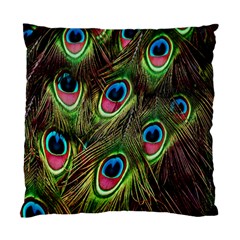 Peacock-army Standard Cushion Case (two Sides) by nateshop