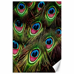 Peacock-army Canvas 12  X 18  by nateshop