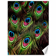 Peacock-army Canvas 36  X 48  by nateshop