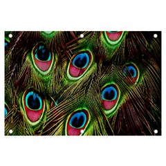 Peacock-army Banner And Sign 6  X 4  by nateshop