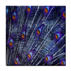 Peacock-feathers-blue Tile Coaster by nateshop