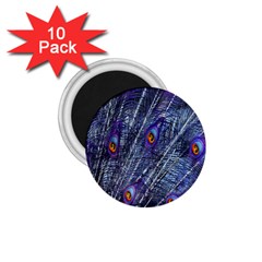 Peacock-feathers-blue 1 75  Magnets (10 Pack) 