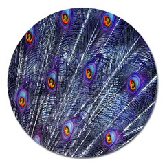 Peacock-feathers-blue Magnet 5  (round) by nateshop