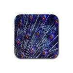 Peacock-feathers-blue Rubber Coaster (Square) Front