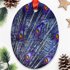 Peacock-feathers-blue Oval Ornament (two Sides) by nateshop