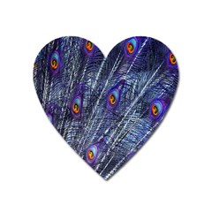 Peacock-feathers-blue Heart Magnet by nateshop