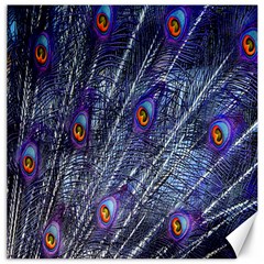 Peacock-feathers-blue Canvas 16  X 16  by nateshop