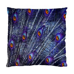 Peacock-feathers-blue Standard Cushion Case (two Sides) by nateshop