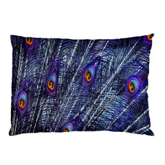 Peacock-feathers-blue Pillow Case by nateshop