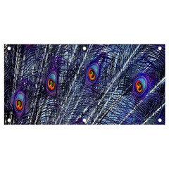 Peacock-feathers-blue Banner And Sign 4  X 2  by nateshop