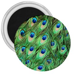 Peacock-green 3  Magnets by nateshop