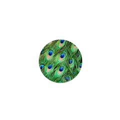 Peacock-green 1  Mini Magnets by nateshop