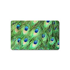 Peacock-green Magnet (name Card) by nateshop