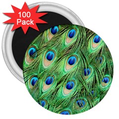 Peacock-green 3  Magnets (100 Pack) by nateshop