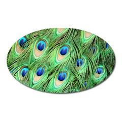 Peacock-green Oval Magnet by nateshop