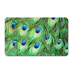 Peacock-green Magnet (rectangular) by nateshop