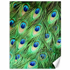 Peacock-green Canvas 36  X 48  by nateshop