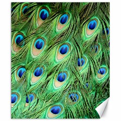 Peacock-green Canvas 20  X 24  by nateshop