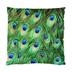 Peacock-green Standard Cushion Case (one Side) by nateshop