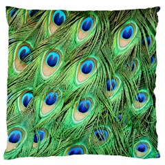 Peacock-green Large Cushion Case (one Side) by nateshop