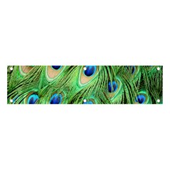 Peacock-green Banner And Sign 4  X 1 