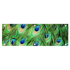 Peacock-green Banner And Sign 6  X 2  by nateshop