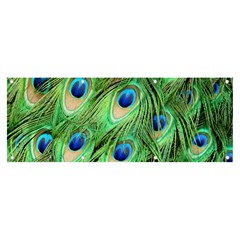 Peacock-green Banner And Sign 8  X 3  by nateshop