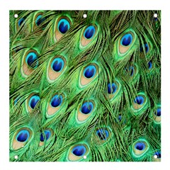 Peacock-green Banner And Sign 4  X 4  by nateshop